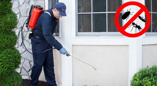 Çanakçı Fare İlaçlama böcek ilaçlama ve haşere kontrolü — ilaclama-tr.com